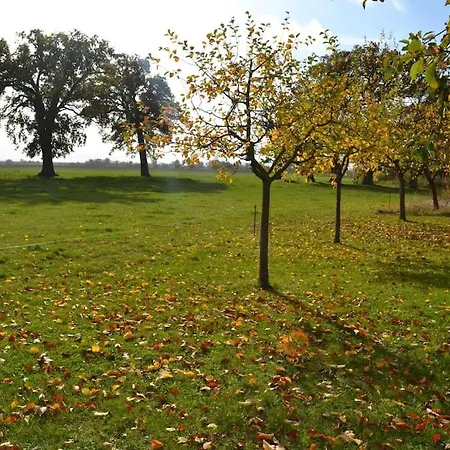 Alte Schule * Neu Wendischthun