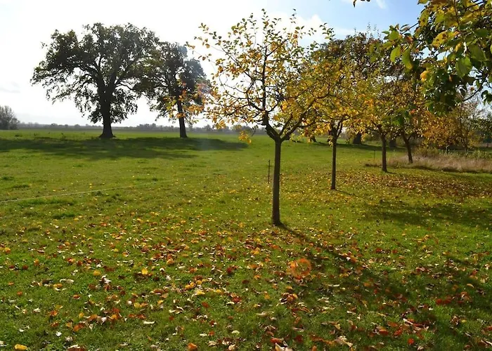 Alte Schule * Neu Wendischthun